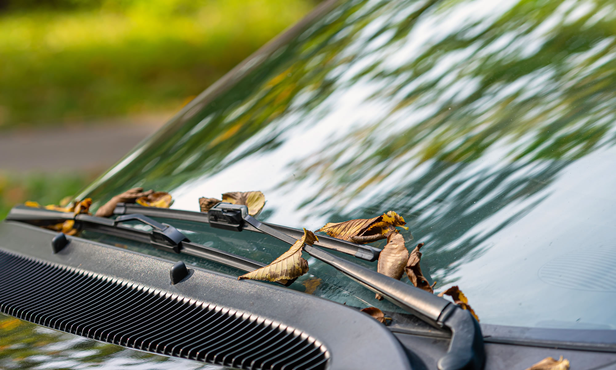 Windshield Replacement